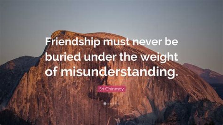 32 Quotes About Friendship Misunderstanding