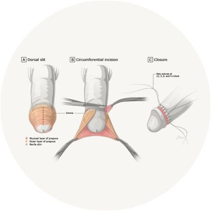 8 reasons why going stag is seriously gr8