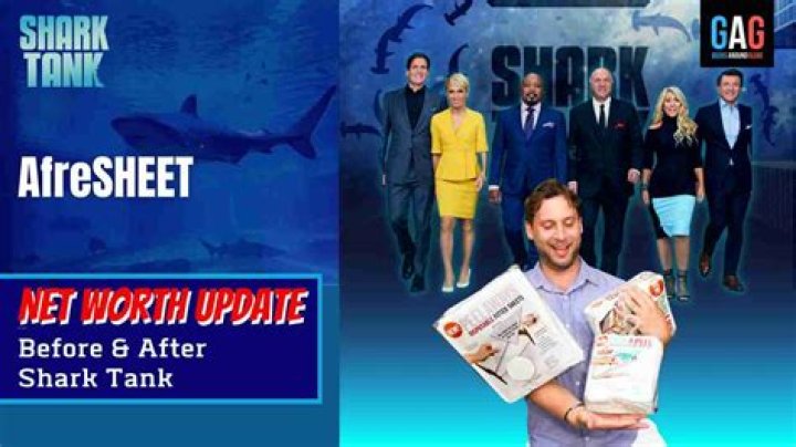 Afresheet Net Worth 2024 | A Fresh Sheet Net Worth, After Shark Tank Update
