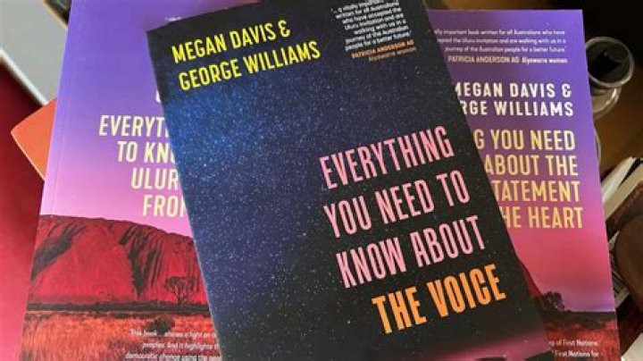 Everything you need to know about the Mian twins