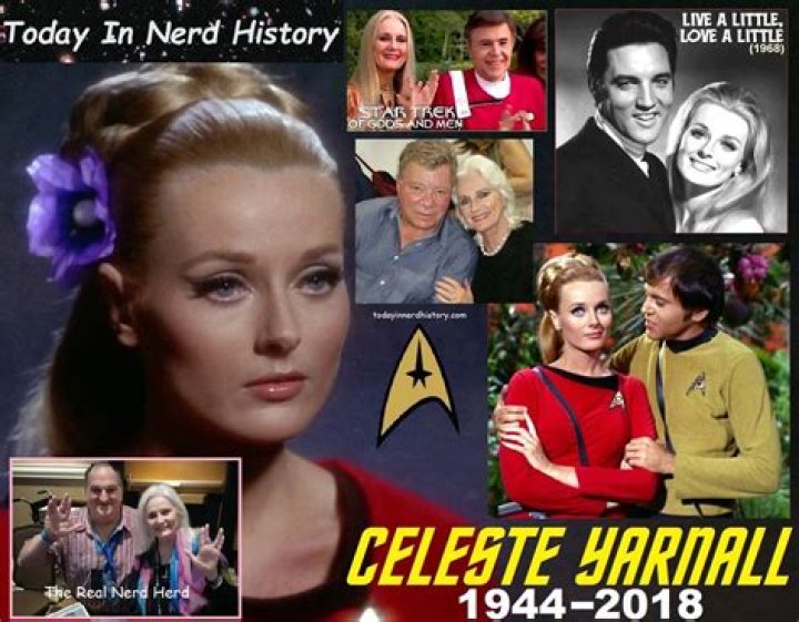 Explore Celeste Yarnall Cause Of Death, Who Is Celeste Yarnall Husband?