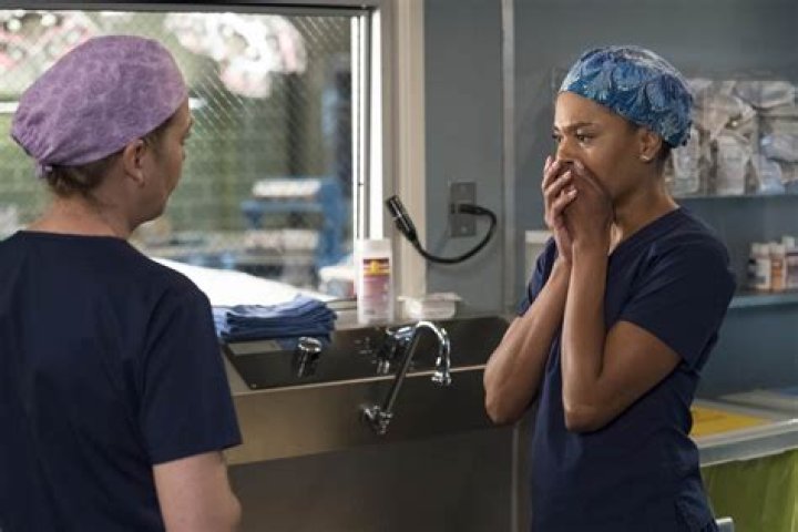 Grey’s Anatomy Fall Finale Recap 11/15/18: Season 15 Episode 8 “Blowin’ in the Wind”