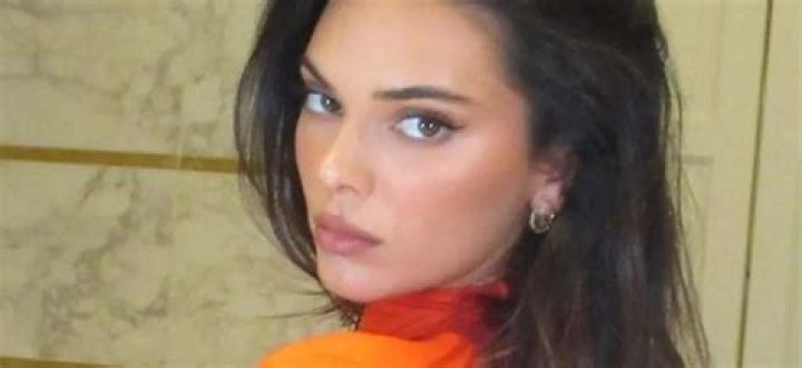 Kendall Jenner’s Nipples Exposed on Instagram Pic: Follows Kardashian Tradition of Selling Sex (PHOTO)