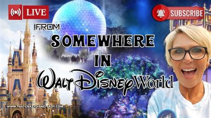 That Crazy Disney Lady net worth, income and estimated earnings of Youtuber channel