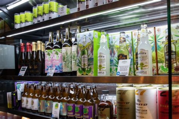 THC Drinks – RHOC’s Tamra Judge Shows Off Hers!