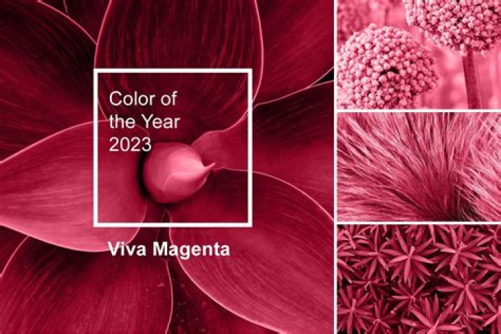 Viva Magenta is Pantone's 2023 Color of the Year: Here's how to incorporate it into your wardrobe
